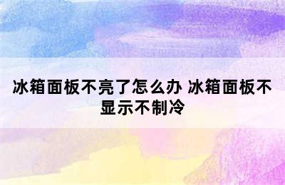 冰箱面板不亮了怎么办 冰箱面板不显示不制冷